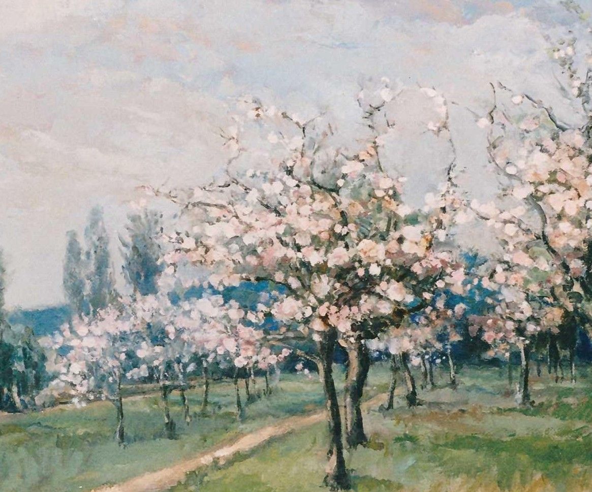 An orchard in blossom with a dirt track winding between the trunks, under a pale sky.