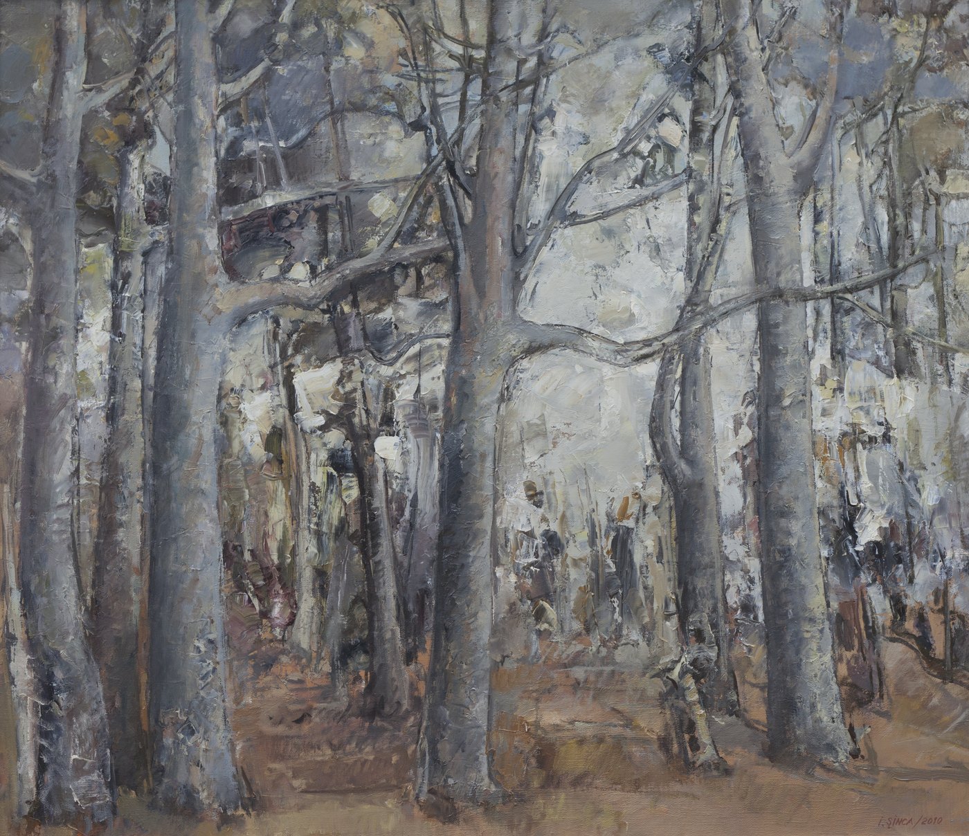 A beech wood with dense blue-grey trunks and white light between them.