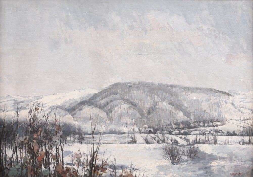 A snowy field with a long wooded hill behind and dry brown bushes in the foreground.