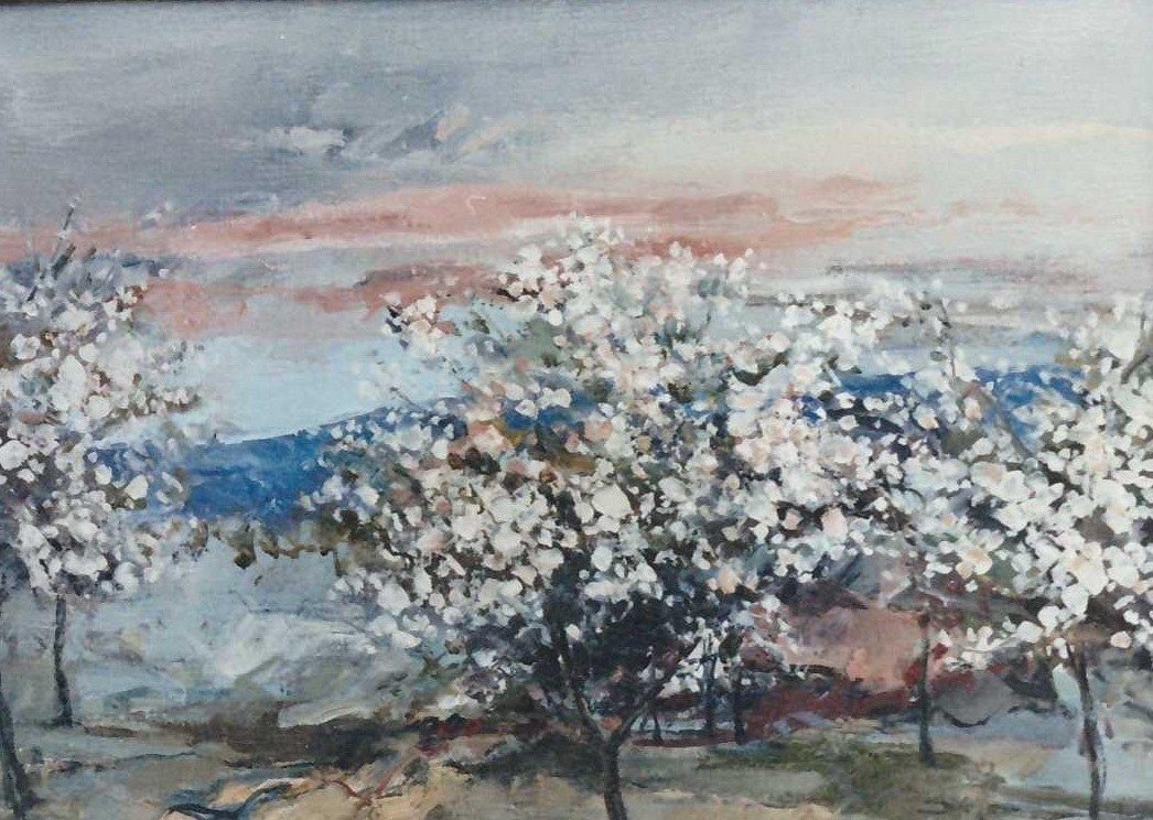 A row of white blossoming trees before a blue hill, under a grey sky with a pink streak.