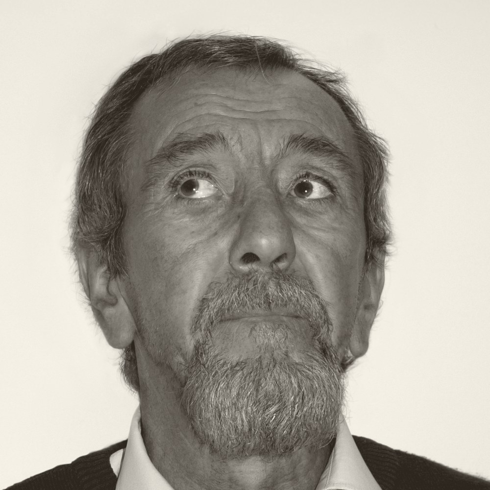 Portret al pictorului Ion Șinca, cataloagele 2010—2011