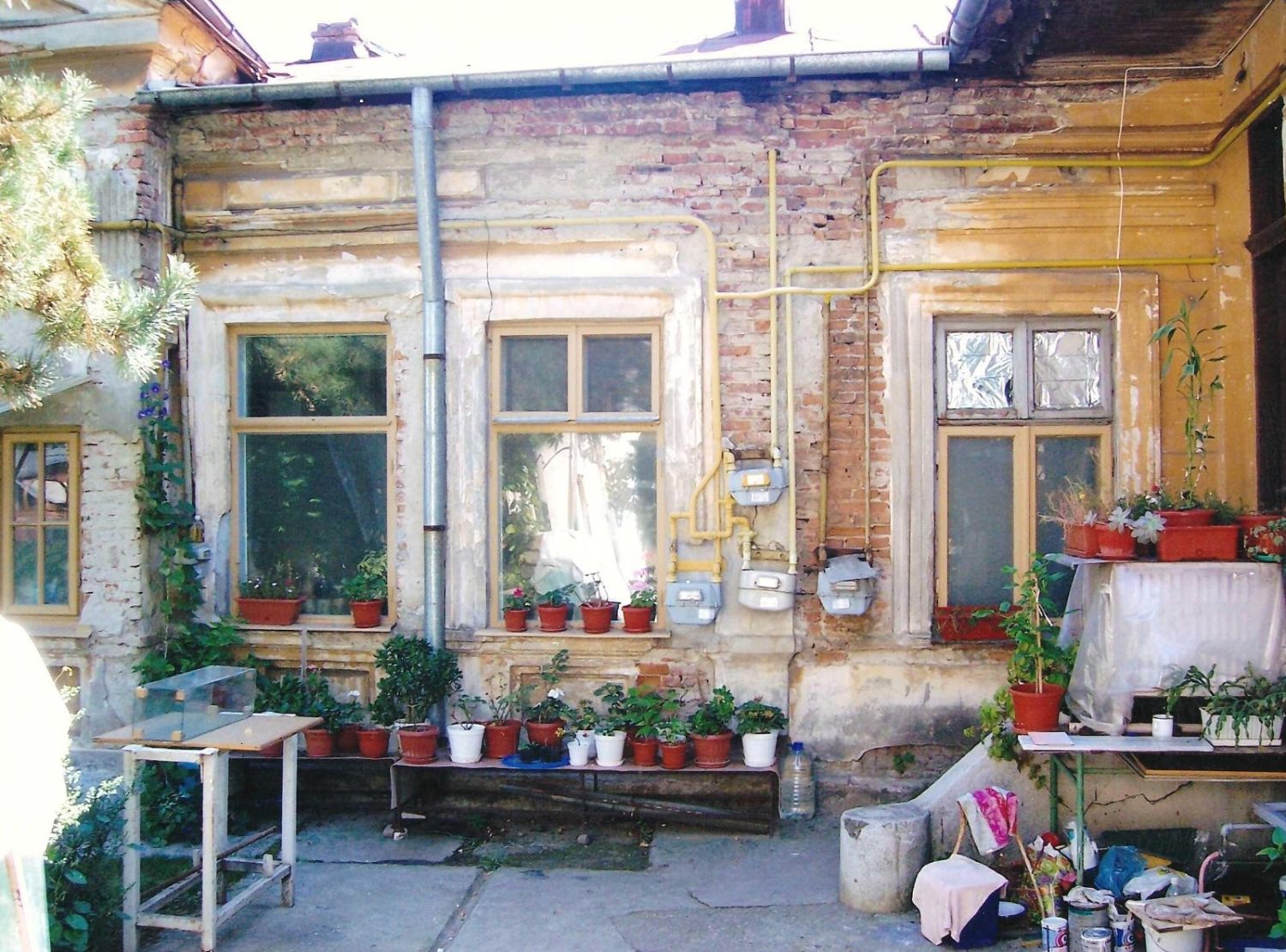 Fațada atelierului din strada Ion Creangă, văzută din curte, cu ghivecele de flori la ferestre